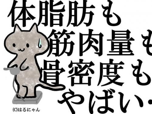 正しいダイエットできていますか?【ゴスロリ社長はるにゃんのエステの裏技】