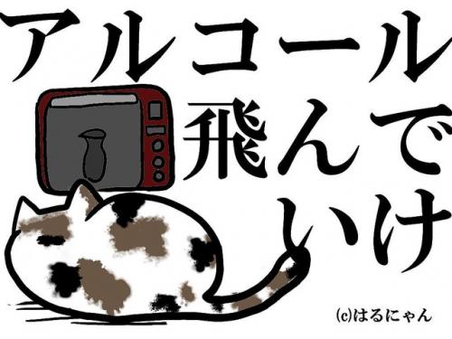 日焼け止めは白くなるくらい塗らないと効果がない!?【ゴスロリ社長はるにゃんのエステの裏技】