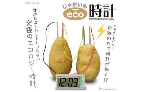 夢のエコ製品発見!じゃがいもで動く「じゃがいも eco時計」新発売【売れ筋チェック】