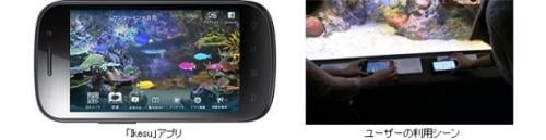 スマホでアクアリウム! サンシャイン水族館でアクアリウムアプリの新サービス
