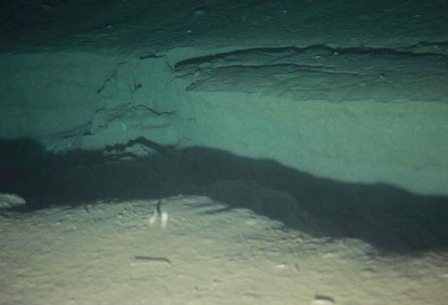 8/4、「しんかい6500」第1256回潜航（潜航者：野牧秀隆、海洋研究開発機構）サイト1、水深5351m。海底の亀裂。幅、深さともに約1m。亀裂は南北方向に走り、少なくとも約80m続く