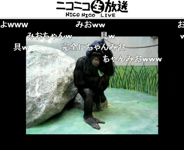 声優の相沢舞さんが、長野原みおの声でチンパンジーの連続写真にアテレコした