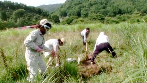 地表を削っての除染実験