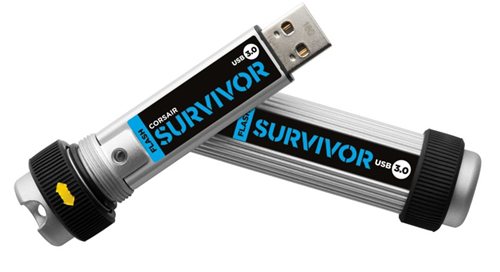 Corsar Flash Survivor