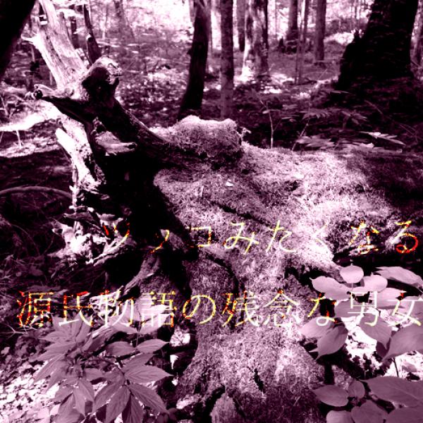 老いてなお盛ん！『恋のレジェンド』超熟女との珍体験～ツッコみたくなる源氏物語の残念な男女～