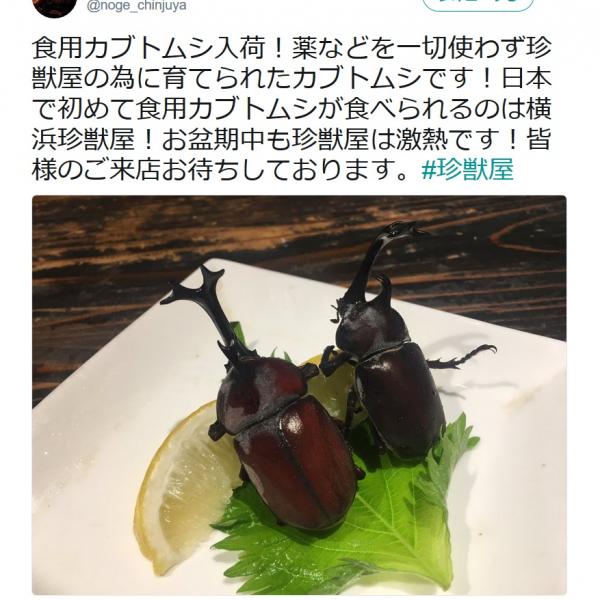 【昆虫食】日本初!? “食用カブトムシ”に困惑　しかも成虫！