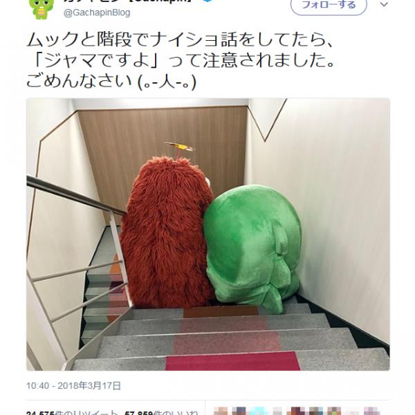 ガチャピン「『ジャマですよ』って注意されました」　ムックと並んだ後ろ姿のツイートが哀愁を誘う