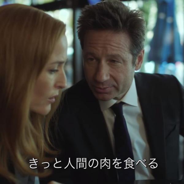『X-ファイル2018』特別映像　モルダーとスカリーの息子、都市伝説の怪物と関係が？［ホラー通信］