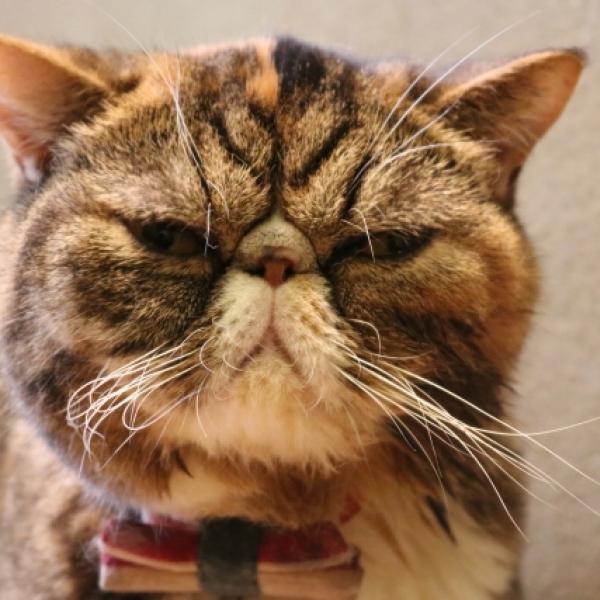 とにかくブスが大好き！そんなオレはB専すぎて困っています
