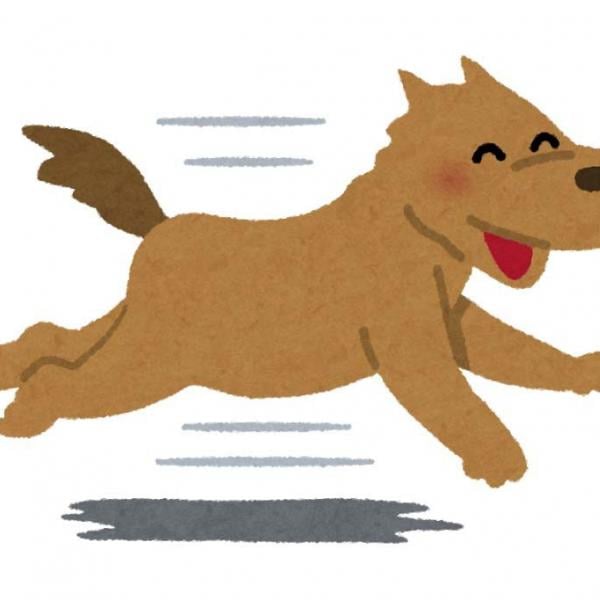 Googleマップでめっちゃ追いかけてくる犬が再び話題に「表示バグってるコマ有って笑いました」「まだいんのかよ！」