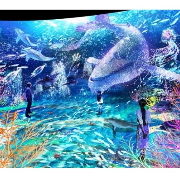 鮮やかな光の世界！“海のデジタルアート展”を日本初開催