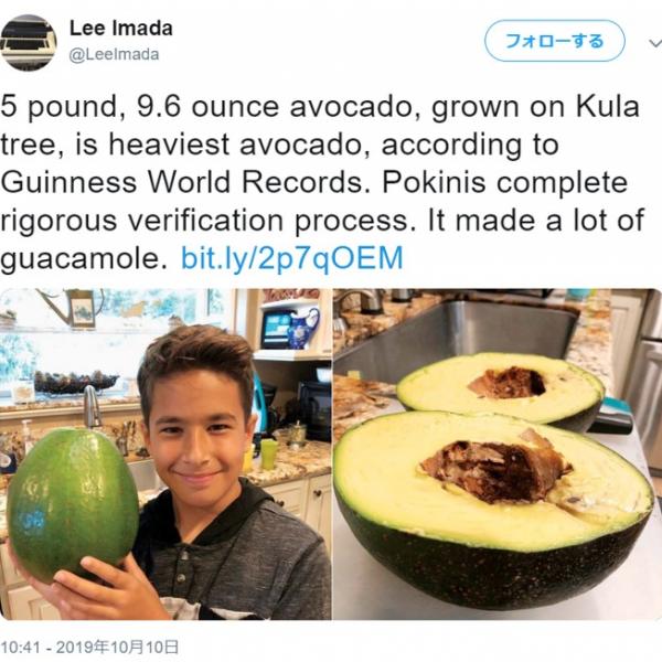 アボカド ハワイで収穫された2.55キロのアボカドが正式に「世界で一番重い