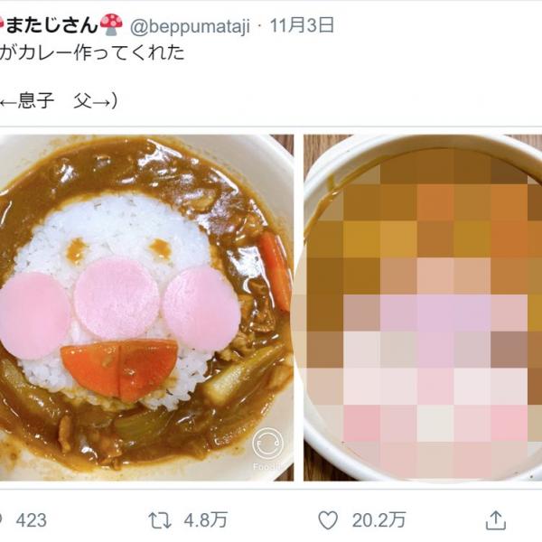 嫁がカレーを作ってくれた結果→「息子用」と「父用」にこんな差があった