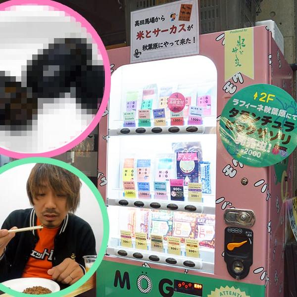 秋葉原にある昆虫食自動販売機を使ってみた！　本物のカブトムシとコオロギを実食！（閲覧注意）