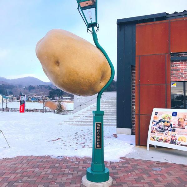 街灯に巨大なジャガイモが直撃!? 雑なコラ画像にしか見えないけど本物です