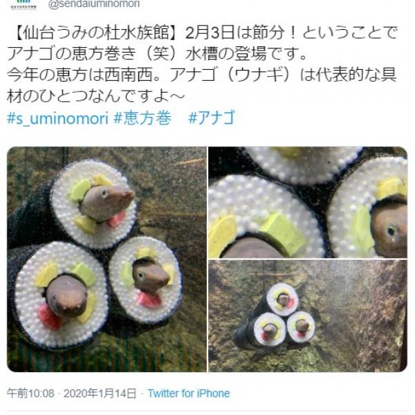 仙台うみの杜水族館「アナゴの恵方巻き水槽の登場です」 ツイート投稿に「洒落の効いた水族館だな」「この発想はなかった」の声