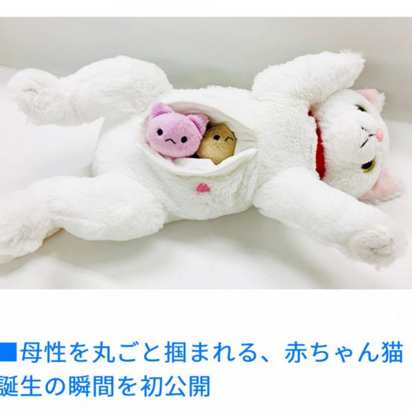 2423504.jpg