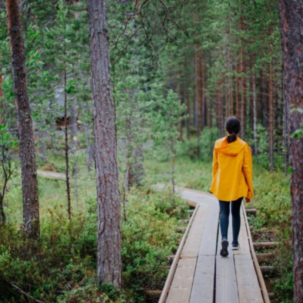 Can you believe? This is how 15 minutes in a forest affects you