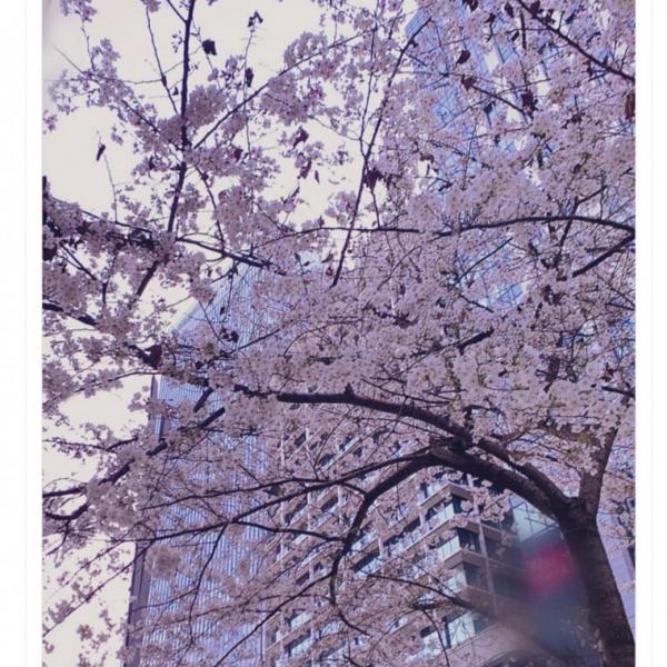 「春が来たって感じ」「フラグ立てるのやめれwwww」　 元NGT48・山口真帆さんが「よくね？」とツイート