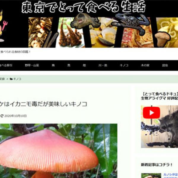 タマゴタケはイカニモ毒だが美味しいキノコ（東京でとって食べる生活） ｜ ガジェット通信 GetNews