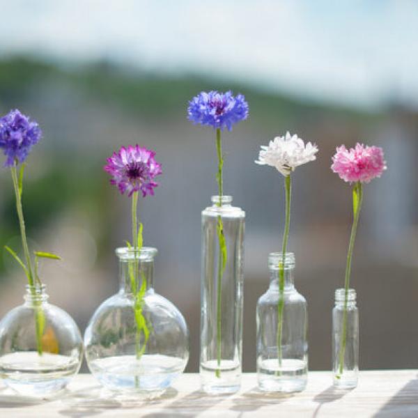 可憐な一輪挿しにピッタリな花瓶や花の正しい選び方 ｜ ガジェット通信 GetNews