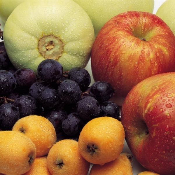 mixiアプリ』の『サンシャイン牧場』が大人気？！ ｜ ガジェット通信 GetNews