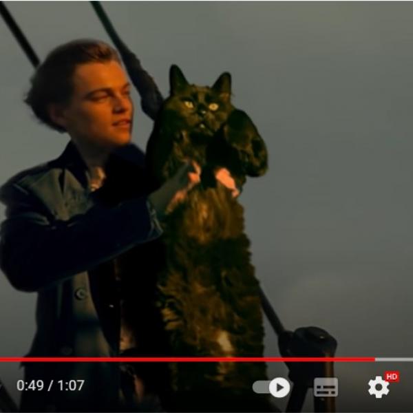 映画『タイタニック』のローズが猫になったパロディ動画 「キャット
