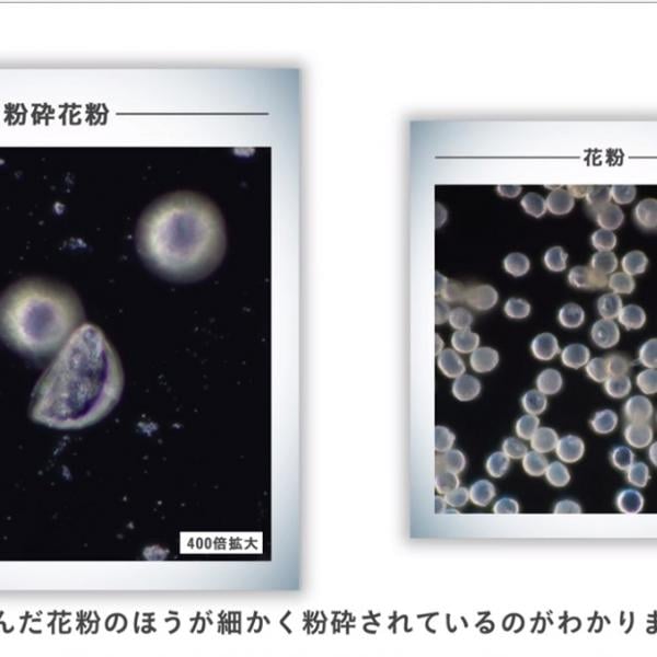 通常より長く空気中を漂う“粉砕花粉”って知ってる？ パナソニックが