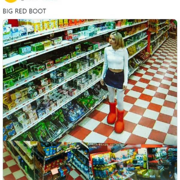 3381898.jpg