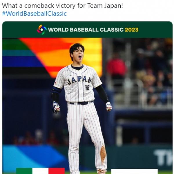 3393528.jpg