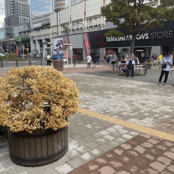 JR秋葉原駅前の植物がいっせいに枯れた問題 / その原因が判明