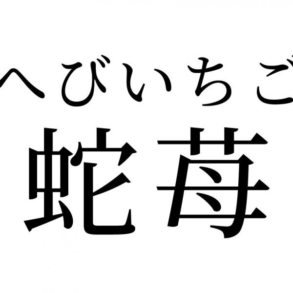【読めたらスゴイ！】「蛇苺」って何のこと！？イチゴの仲間！？この漢字、あなたは読めますか？
