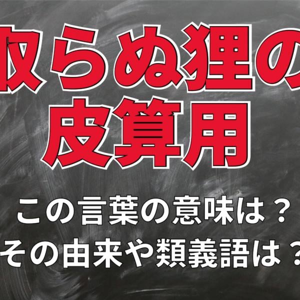 「取らぬ狸の皮算用」とはどんな意味？その成り立ちや類義語は？