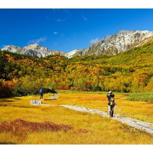 【長野県小谷村】紅葉シーズンの「栂池自然園」でアルプホルンの生演奏やInstagramキャンペーンを実施中