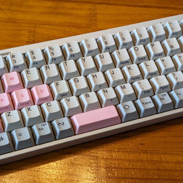 3503081.jpg