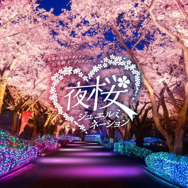よみうりランド、咲き誇る桜がライトアップ！60周年特別バージョンの