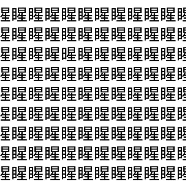 【脳トレ】「睲」の中に紛れて1つ違う文字がある！？あなたは何秒で探し出せるかな？？【違う文字を探せ！】