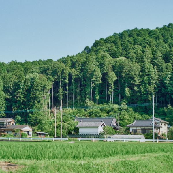 【茨城県旧七会村(城里町)】蛍も飛び交うという七会の里山を感じて