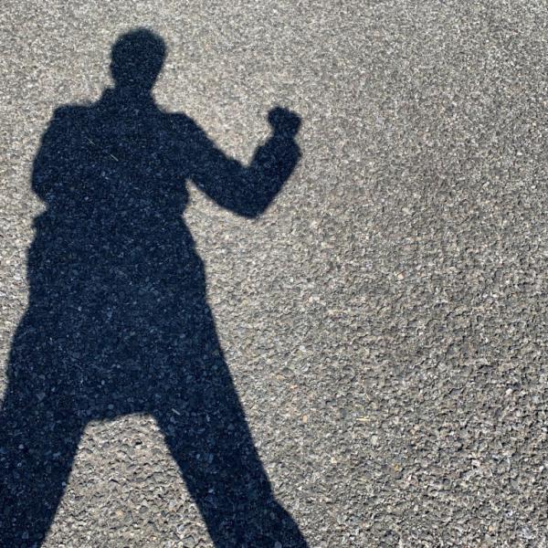 人気漫画家が家から出た結果→ なんか若者がイキりながらシャドーボクシングしている件→ そして