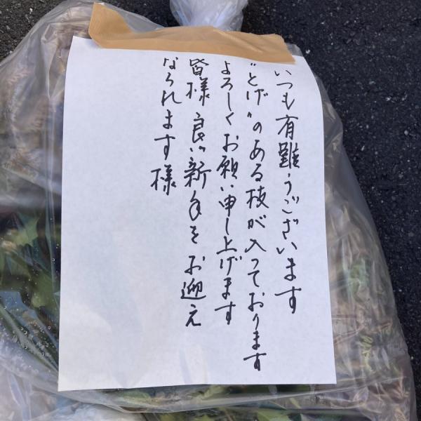 ゴミ清掃員からお願い→ 植物を捨てるときは「こうしてくれると嬉しい」