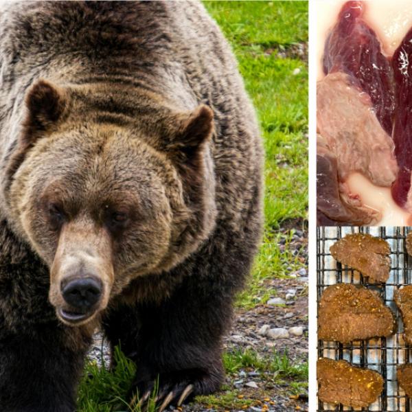 【ジビエ】ハンターの友達がヒグマ獲ってきたので盛大に熊肉パーティーした結果 →旨いの？ まずいの？ どっち？ ｜ ガジェット通信 GetNews