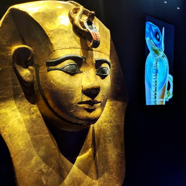 ついに降臨…！ 東京豊洲『ラムセス大王展』古代エジプト史上最強