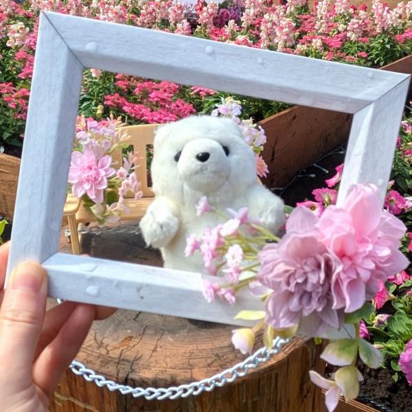 横浜赤レンガ倉庫】入場無料！ 推し活公認のお花畑「FLOWER GARDEN