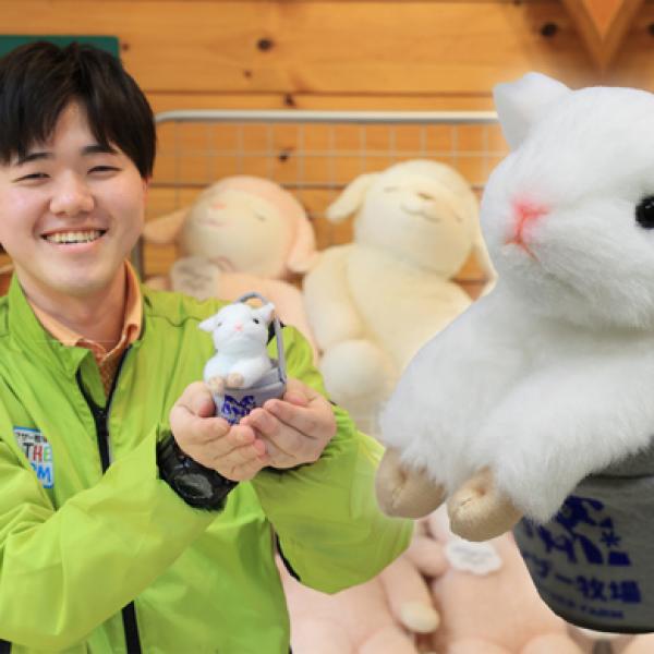 | ミニひつじぃ004」発売決定！ こひつじ様 Information PetWORKs | ミュージック