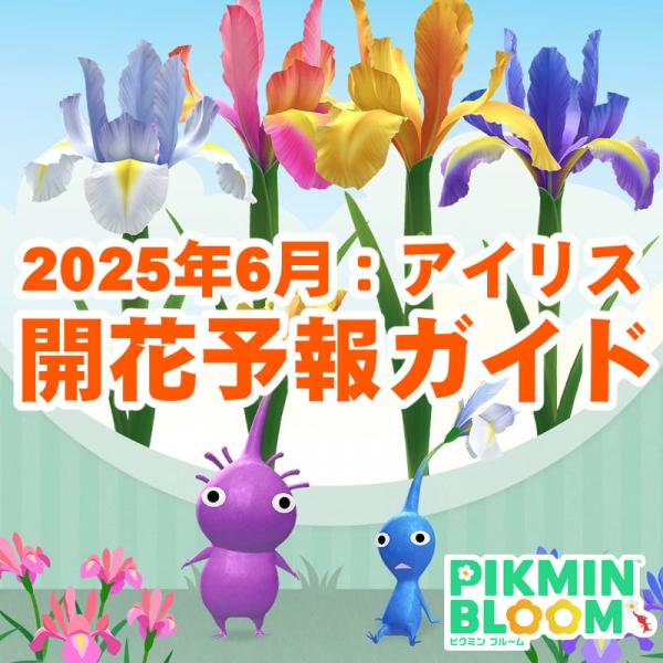 ブルームページ BLOOM（アクセサリー） ネックレス サージカルステンレス 316L