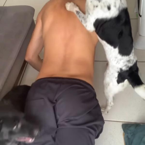 愛犬たちはトレーナー？腕立て伏せに励む飼い主さんを全力サポート！【海外・動画】