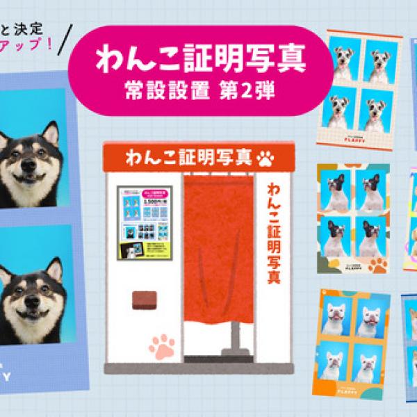 神奈川県横浜市】台紙の種類は70種類以上に増加！「わんこ専用証明写真