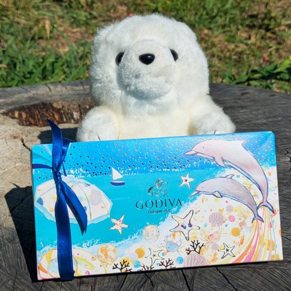 ひんやり新食感！ “冷凍”できるゴディバの夏チョコレートで自分へのご