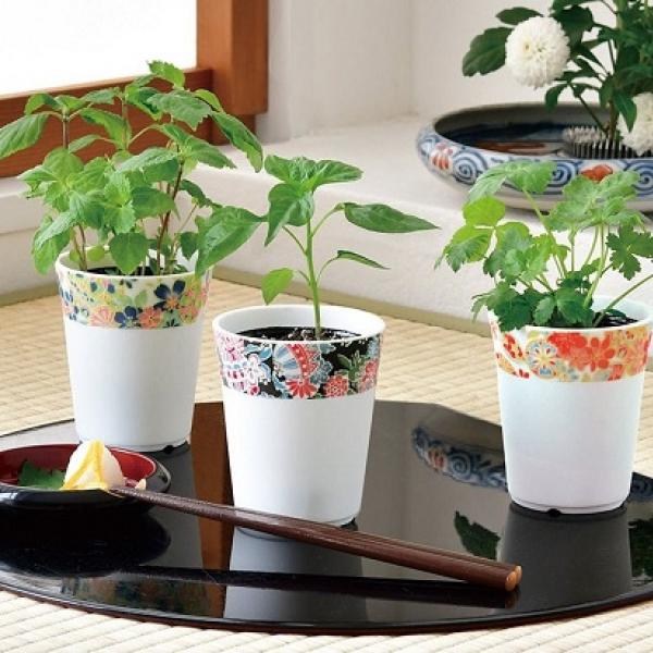 友禅柄で彩られた陶製の器に薬味の種をセットした栽培キット「和心薬味