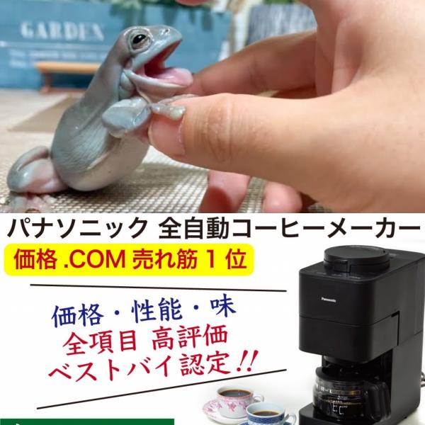 カエルがだいすき、カエルの魅力を伝えていく『ぴよのカエルch